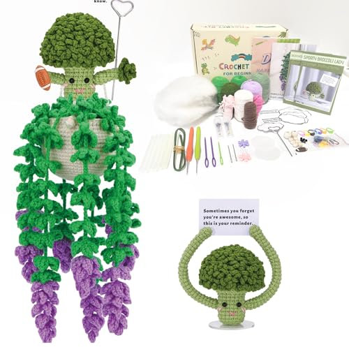 wishstream Kits de crochet pour débutants et adultes, cadeaux positifs pour 3 plantes en pot à suspendre avec tutoriels vidéo, ensemble de bricolage adapté aux débutants