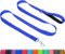 Taglory Laisse de Dressage réfléchissante pour Chien, poignée rembourrée en néoprène et Crochet en métal, 1.8m x 2.0cm Laisse en Nylon pour Petits Chiens, Bleu Foncé