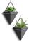 Hilai Plant Hangers,Hanging Planters, Indoor Ceramic Geometric Wall Planters Wall Mounted Planter Succulent Pots Wall Decor 2pcs Small 10cm Black