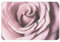 TRESILA Paillasson antidérapant super absorbant pour intérieur et extérieur - 40 x 60 cm - Rose gros plan