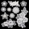 AHANDMAKER 20 Stück Bestickte Spitzenapplikationen 10 Stile Blumen Spitzenbesatz Florales Aufnäher Organza Applikationen DIY Nähhandwerk Für Hochzeit Brautkleid Dekoration (Weiß)