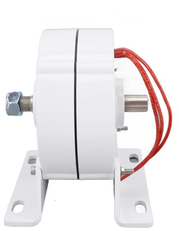 aqxreight Potente Generatore a Magneti Permanente Doppio Albero a Doppia Fase Alternatore Sincrono a 3 Fasi per 100w (100W)