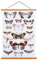 Ywlake B0 Cadre Photo Magnétique 120 cm, Cadre Poster Porte Affiches 120x80 120x60 Aimanté en Bois Naturel pour Affiche Cadre Magnetique Cadre Affiche Cadre Suspendu (120cm, Teck)