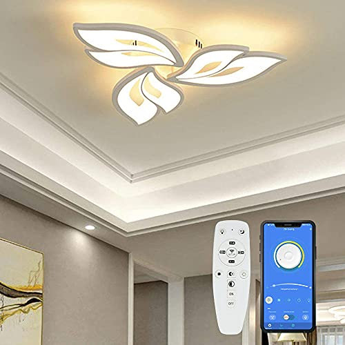 Yuanfenghua Lampadario camera da letto, 24W plafoniera Led soffitto, lampada da soggiorno con telecomando (60X 6,5 cm)