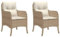 vidaXL Gartenstuhl mit Kissen 2 STK., Sessel für den Außenbereich, Gartensessel mit pulverbeschichtetem Stahlrahmen, Terrassensessel Outdoor Stuhl, Beige Poly Rattan