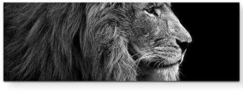 Eau Zone Wandbild auf Leinwand 120x40cm Portrait Löwe schwarz/weiß