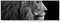 Eau Zone Wandbild auf Leinwand 120x40cm Portrait Löwe schwarz/weiß
