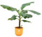 Bananenpflanze (Musa) inklusive Elho Jazz Rund gelb Ø23-100 cm