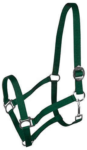 York Nylonhalfter Halfter Genickstück Verstellbar durch Schiebeschnalle Harmony Pferdehalfter (Pony, dunkelgrün)