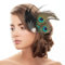 Pfau Kopfschmuck Haarspange,Pfau Haarschmuck,Feder Haarschmuck mit Strassbesatz,Pfauenfeder Haarreif,Karneval Kopfschmuck Damen,Pfau Kostüm für Carnival, Fancy Dress,Themenparty