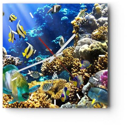 Modern Wanduhr Korallenriff Ozean Krabbe Fisch 30x30cm Quadrat Klein Wand Uhr Glas Analog Zimmeruhren Küche Büro Wohnzimmer Glasuhr Wall Clock Dekoration Design Wanddekoration Küchenuhr C3AC30x30-2662