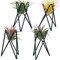 Paquete de 4 soportes para plantas de aire, base Tillandsia, soporte geométrico moderno de metal para plantas de aire, estante de exhibición de plantas de aire, mesa grande de exhibición de plantas