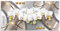 ARTland Wanddeko Wandbild Alu Verbundplatte für Innen & Outdoor Bild 60x30 cm Pflanzen- & Blumen Blumen Orchidee S6AP