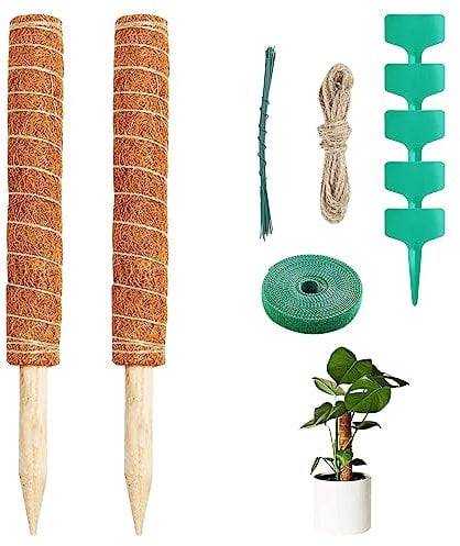 Newpop 2 Piezas Tutores para Plantas Trepadoras 40 cm, Tótem de Fibra de Coco Soporte con 5 Etiquetas, 2M Cuerda de Yute, 1 Rollo Bridas Cables, Palo de Musgo para Enredaderas, Monstera, Jardín
