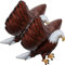 Tsffae 3D-riesenadler-folienballons, 2 Stück/Set, Aufblasbarer Adlerballon Für Kinder, Großer Vogel, Tierballon, Partydekoration, Babyparty, Geburtstagsparty-zubehör