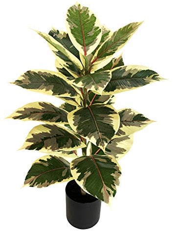 BESAMENATURE 30 Inch Little Artificial Rubber Tree Plant - Fake Ficus Tree- Faux Tropical Tree Used for Home Office Decoration, Golden
