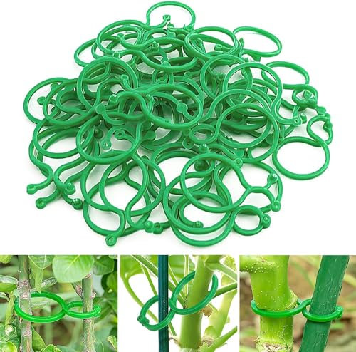 NIEEKRUN 200 Stück Pflanzen Klammern Befestigung, Pflanzenklammern, Kunststoff Kletterpflanzen Clips, Gartenpflanze Clips, Pflanzenclips zur Unterstützung für Pflanzen Sicherun