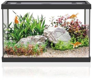 AQPET One Mini Aquarium aus Glas Schwarz 20 Liter – komplettes Aquarium mit internem Filter, Sand, dekorativer Pflanze und Hintergrund – Elegantes Design 36x22x26 cm, ideal für Anfänger