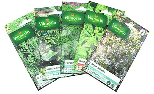 Pack de 5 sachets graines aromatiques - Thym - Oseille - Persil - Menthe - Romarin