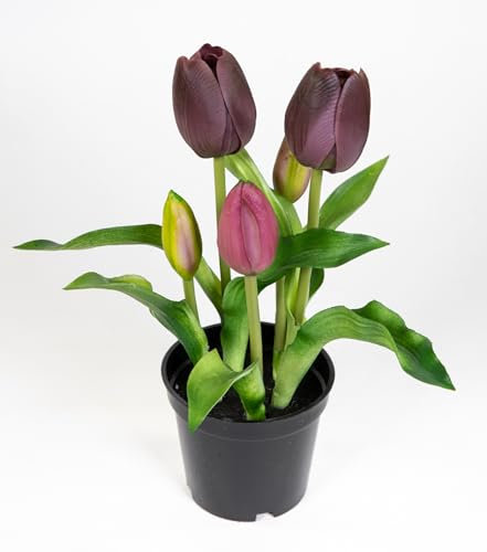 Seidenblumen Roß Tulpen Real Touch 24cm im Topf ZF Kunstpflanzen künstliche Pflanzen Tulpentopf (Lila)