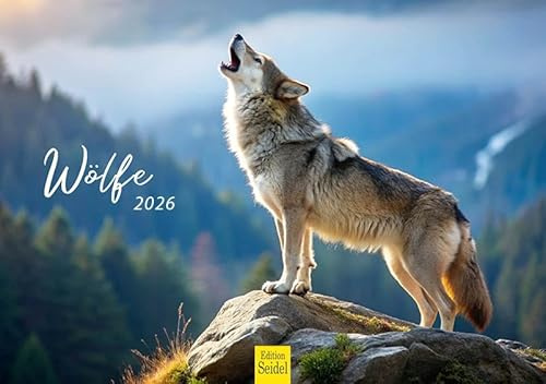 Edition Seidel Premium Kalender Wölfe 2026 Format DIN A5 Wandkalender Tierkalender Tiere Wildtiere Rudel Wolf Wald Natur