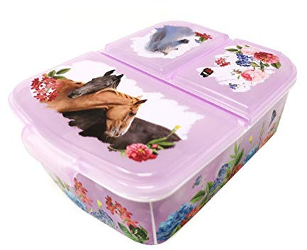 Theonoi Kinder Brotdose Lunchbox Sandwichbox - Lunchbox mit Fächern - Brotbox mit Unterteilung - Kindergarten - aus Kunststoff BPA frei (Pferd Horses)