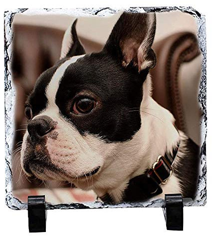 MEGAUK Schieferplatte mit Foto Bedrucken Lassen - Personalisiert Fotodruck Schiefer mit Ständer - Bedruckte Schiefertafel mit Bild Wunsch-Foto Fotogeschenk Selbst Gestalten