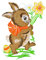 Plauener Spitze Fensterbild Hase farbig 16 x 22 cm Fensterdeko Fensterschmuck Bilder Handarbeit Deko Fenster