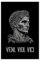 TINGTOEO Veni Vidi Vici Caesar Leinwand-Poster, Schlafzimmer-Dekor, Sportlandschaft, Büro, Raumdekoration, Geschenk, ungerahmt, 30 x 45 cm