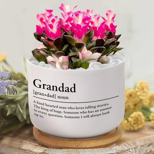 Grandad Definition Ceramic Planters Grandad Plant Live Indoor with Pot with Drainage Holes And Saucers Orchid Pot for Garden Home Decoration New Home Gift