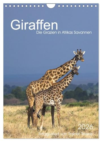 Giraffen - Die Grazien in Afrikas Savannen (Wandkalender 2026 DIN A4 hoch), CALVENDO Monatskalender: Mit majestätischem Schritt bewegen sich Giraffen ... von Rainer Tewes (CALVENDO Tiere)