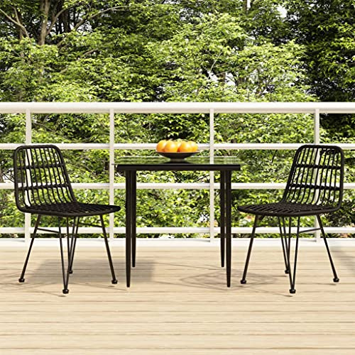 Qnhdfrt Garten Essgruppe Schwarz 3 teilig Poly Rattan mit Stahlrahmen und Hartglas Tischplatte 80 x 80 cm für Terrasse Balkon und Garten