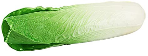 Ldabrye Künstliches Gemüse, chinesisch, für Restaurant, Hotel, Hochzeit, Küche, Dekoration, Requisiten