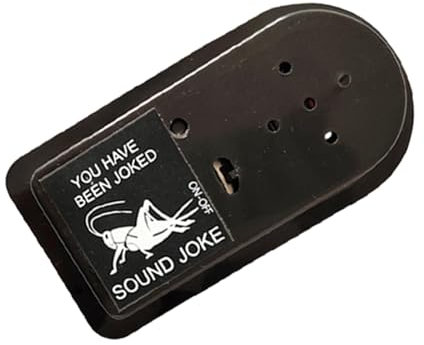 Générique Prank Chirage – versteckte Geräuschmaschine, Toy Sound Beep | Discreet Chirp Device, lustiger Office Home Trick, Fun Practical Joke Gadget für Kinder Erwachsene, Halloween Prank