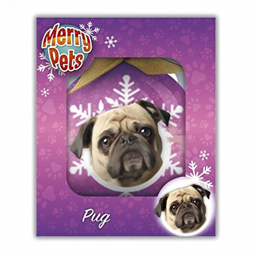 Weihnachtskugeln auf dem Mops-Themme