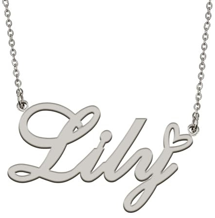 HUAN XUN Personalized Custom Initial Pendant Name Necklaces for Women Girls in Gold Silver, Stainless Steel, stainless-steel