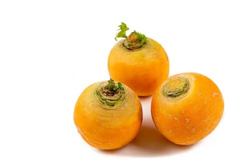 400 Semillas Semillas - Semillas - Nabo Bola de oro - Fruta Verdura Jardín - AMARILLO - 226