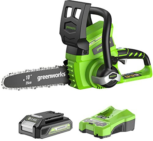 Greenworks 24 V 25 cm Motosega a Batteria, Velocità Catena 4,2 m/s, Lubrificazione Automatica (con 2 Ah Batteria e Caricabatteria)