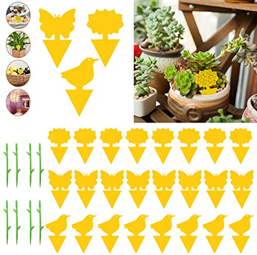 Anti Moucheron Plante,Attrape Mouche,Pièges à Insectes,Attrape Moucheron Interieur,nematodes moucherons,Plug-in piège à Mouches plaques Jaunes Autocollant Jaune Plant,24 PCS & 8 Inserts Clip