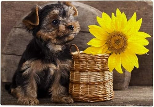 1000 Teile Puzzle Für Erwachsene – Yorkshire Terrier Welpe Hund Sonnenblume