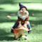 SUQ Lustiger Pilzzwerg Gartenzwerg, Gartenstatuen und Skulpturen Figur Ornament Dekoration, Niedlich Karikatur Figuren, Harz Handwerk Charakter Bonsai Zubehör, Topfpflanzen, 18.5X11X8cm(MG)