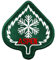 Aspen Colorado Blatt-Aufnäher mit Klebstoff zum Aufbügeln, Schneeflocke, Skifahren, Skifahren, besticktes Souvenir