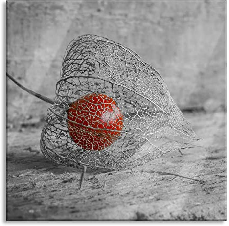 Pixxprint Glasbild, Wandbild auf Echtglas, leckere Physalis in Schale, 80x80 cm, inkl. Aufhängung und Abstandshalter