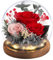 Emibele Regalo de Rosa Eterna para el Día de la Madre, Rosa Real Preservada en Domo de Vidrio con Luz LED, Flores para Entrega, Regalo para Mujer, Esposa, Cumpleaños, Aniversario, Rojo