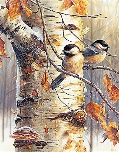 ZGmaxCL 5D Diamanten Gemälde Set Diamond Painting Zubehör Puzzles Erwachsene Kinder Groß Vogel und Baum Modern Wohnung Wanddekoration 60x40cm