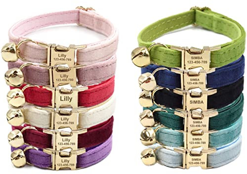 Personalised Cat Collar with Metal Buckle - Engraved Name Phone Number for Boy and Girl Kitten Puppies (Velvet)