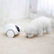Pet Camera with Treat Dispenser and Interactive Toy for Dogs and Cats, Remote Control Via App, 1080p HD Pan, Designed for Pets
