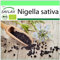 SAFLAX - BIO - Schwarzkümmel - 300 Samen - Nigella sativa
