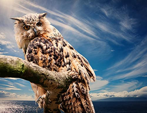 HANSEPUZZLE 28020 - Eule Puzzle 1000 Teile | Tierwelt Puzzle mit hochwertiger Puzzle Aufbewahrung: Kartonbox und Wieder verschließbarem Beutel | Puzzle-Maße: 60 x 46 cm