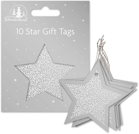 Tallon Festive Wonderland XA0171 Luxus-Geschenkanhänger, Weihnachtsstern, Silber, 10 Stück